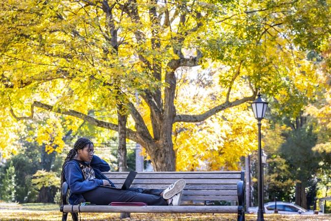 Student on Bench Studying on Laptop Computer Surrounded by Fall Foliage