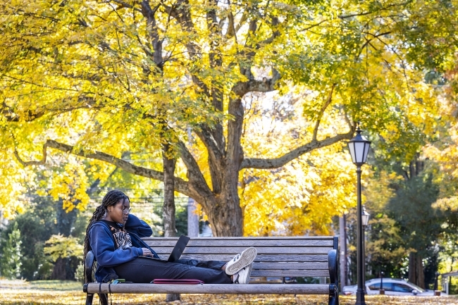 Student on Bench Studying on Laptop Computer Surrounded by Fall Foliage