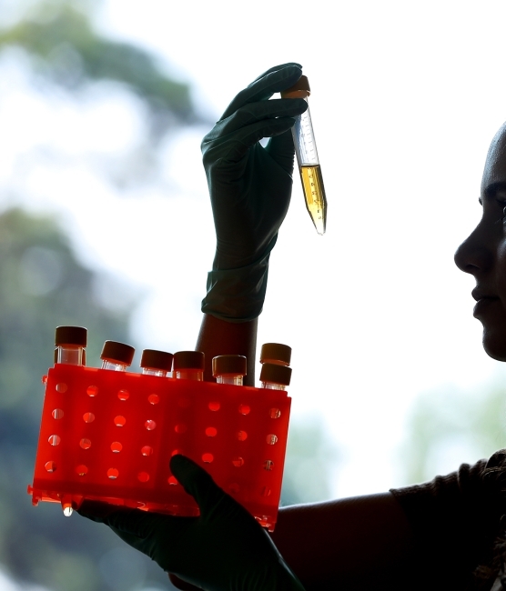 Student holding tube in lab