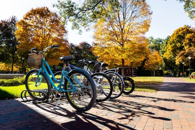 Bike Rack in Autumn