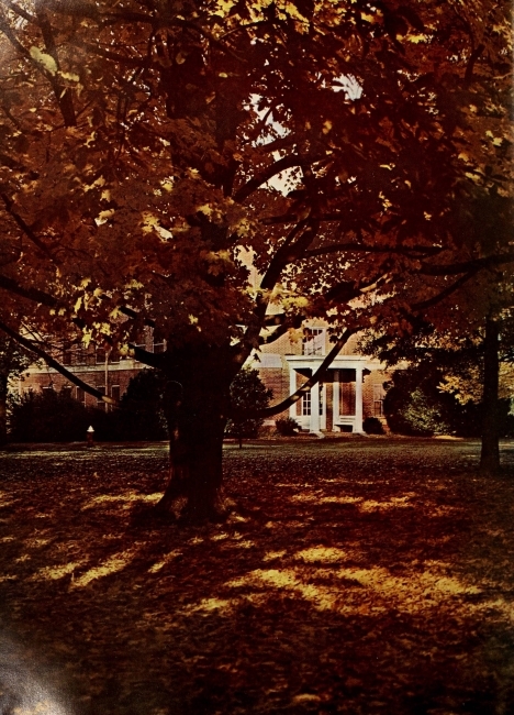Page from 1963 Quips & Cranks depicting campus foliage