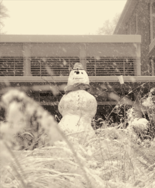 Snowman on campus