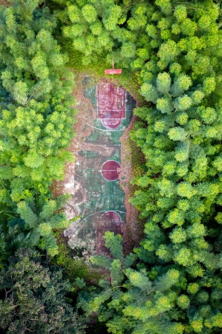 Basketball court surrounded by trees