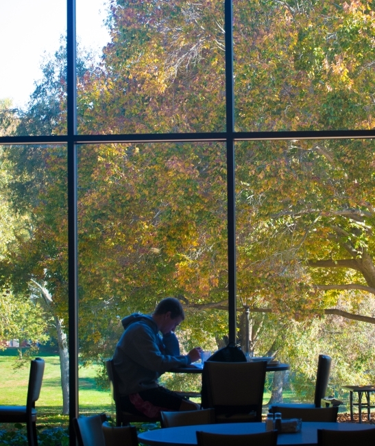 student at laptop in front of window