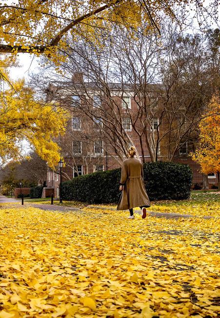 student walking on campus in fall with yellow leaves all around
