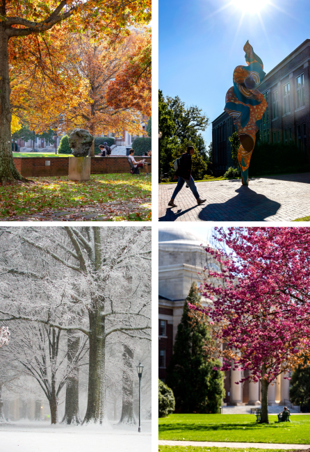 Compilation of four images of campus during the seasons