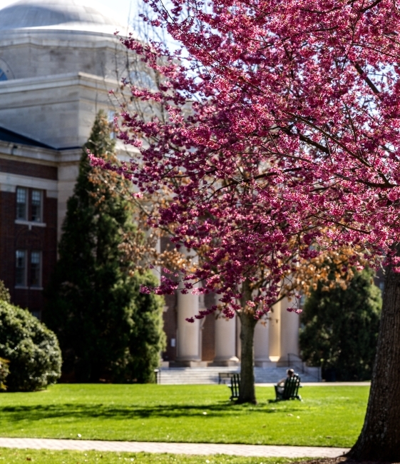 Student in Adirondack Chair on Chambers Lawn