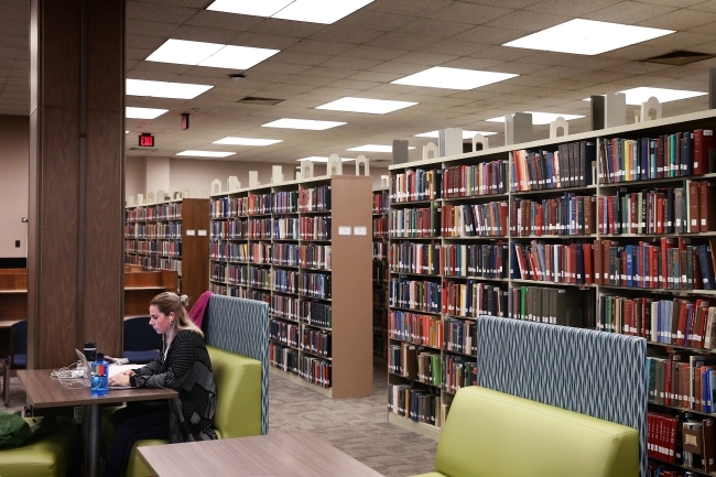 Student on Computer in EH Little Library