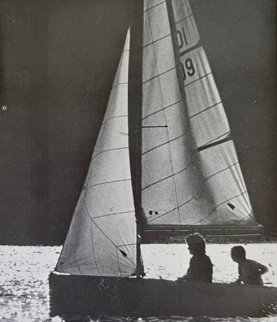 Davidson College sailing team from 1974 yearbook
