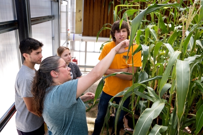 Prof. Susana Wadgymar instructing students in greenhouse