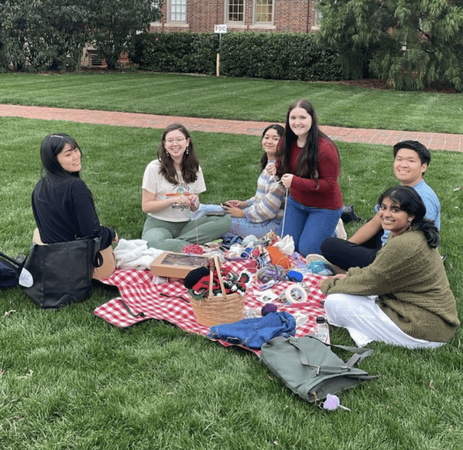 a group of students sit on a picnic blanket while knitting and smiling
