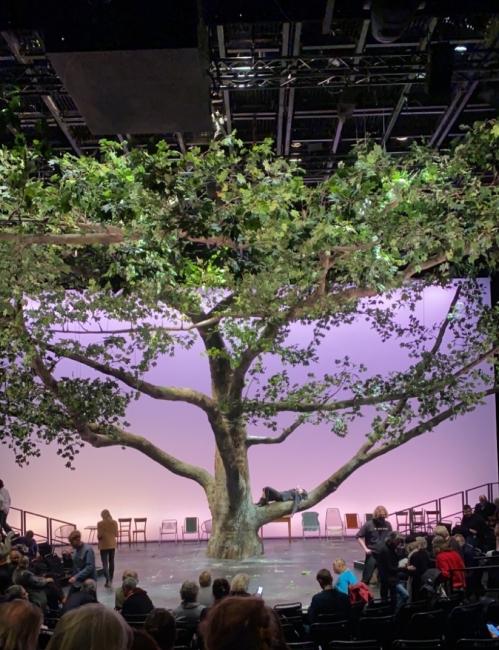 a stage with a large tree growing in the middle