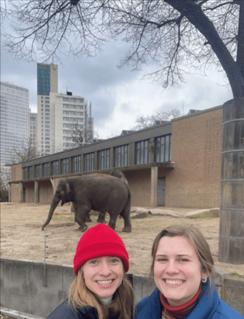 two young women stand in front of an elephant enclosure with a city skyline in the background