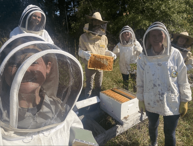 Bee club hive inspection