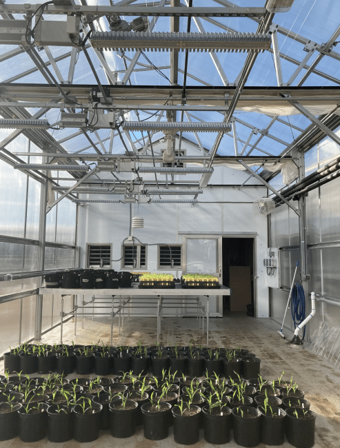 The Pat Peroni Greenhouse