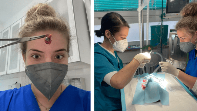 two young women work together in a lab while wearing masks and scrubs