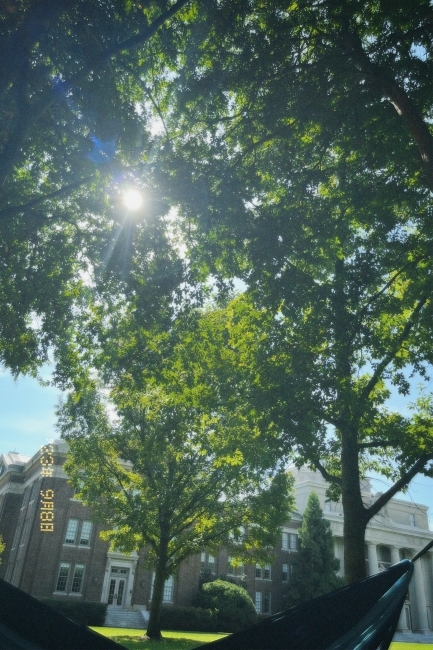 a hammock hanging from a tree in front of a columned building as sun falls between tree brances