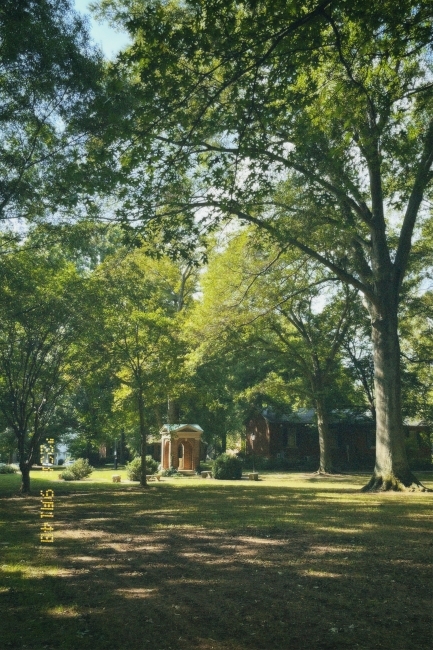 an old brick well on a sunny day surrounded by green trees