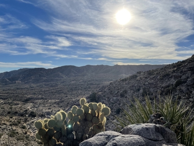 a desert landscape with blue skies on a sunny day