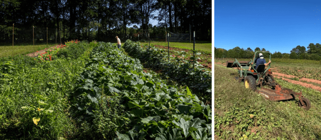 a compilation of scenes from a farm 