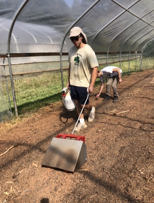 a young man uses a flame-weeder in a greenhouse