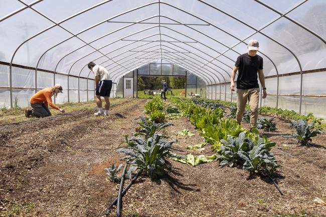 a group of young men and women work inside a greenhouse