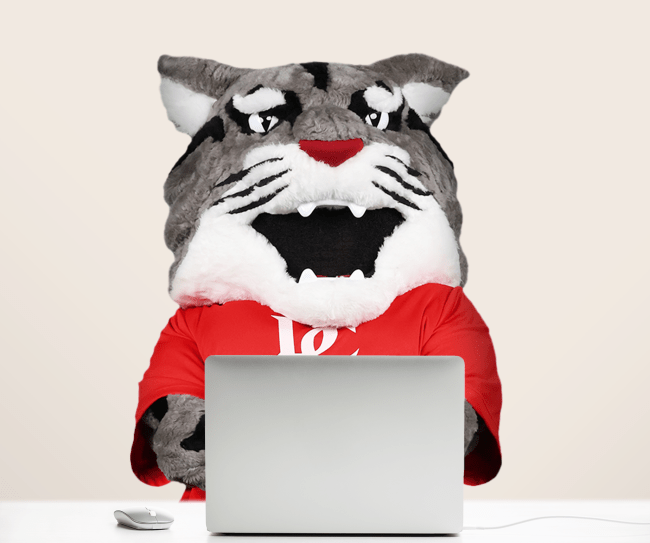 Roary doing homework