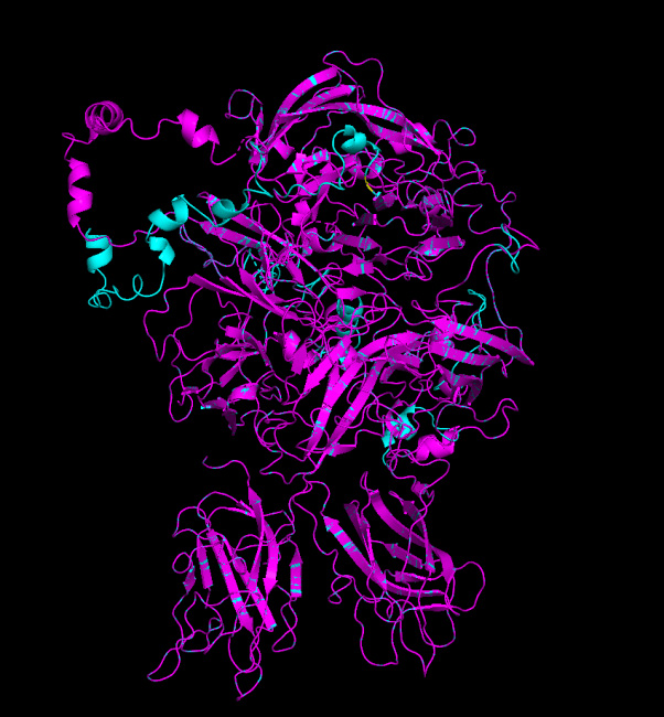 image of protein