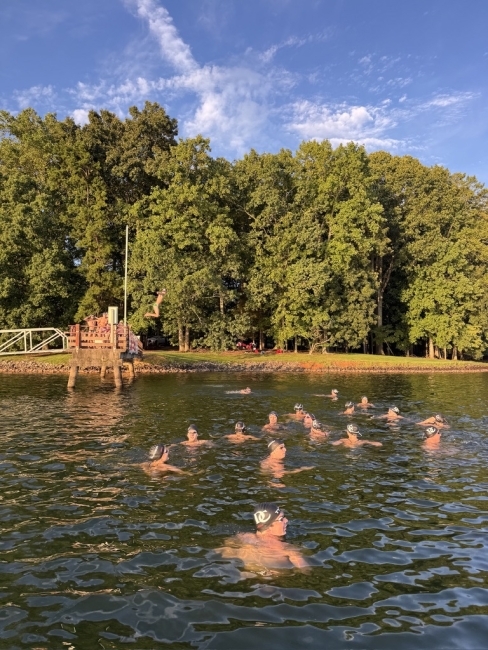 swimmers in a lake on a sunny day