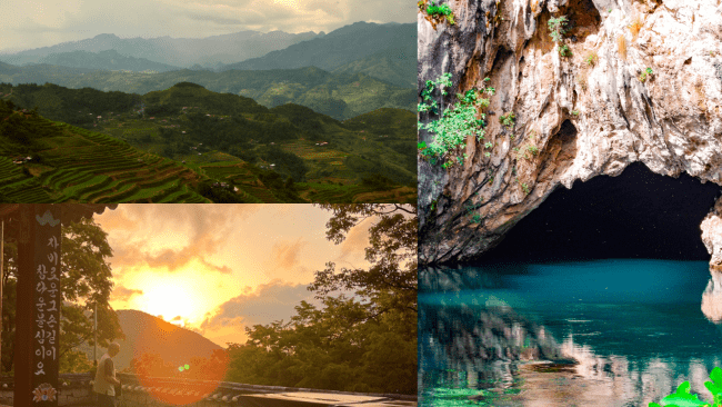 compilation of images from students around the world 