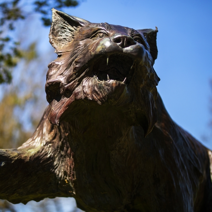 Wildcat Sculpture