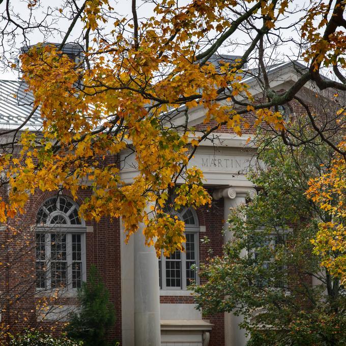 autumn leaves over Davidson College building