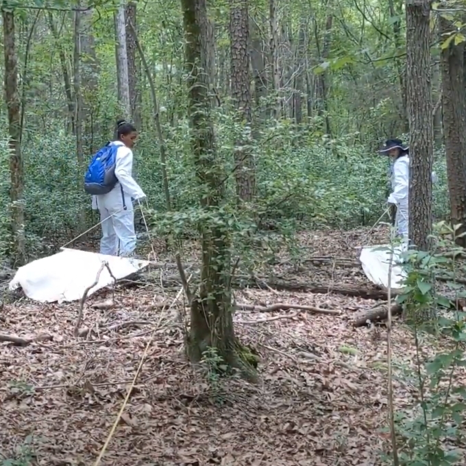 Davidson College Student researchers in Prof. Kevin Smith's class investigating ticks in North Carolina