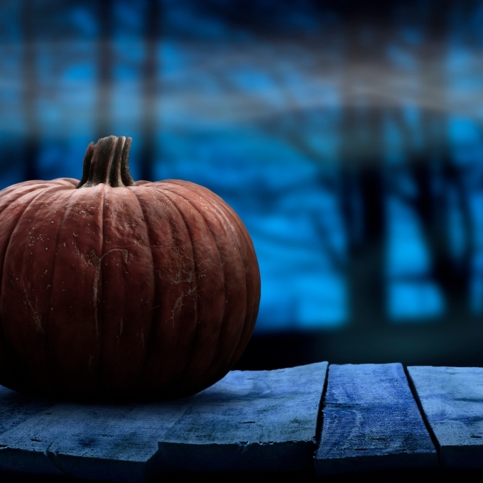 Pumpkin on a wooden porch in the woods
