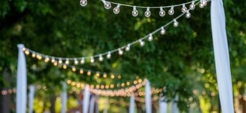 string lights on a sunny day in front of greenery