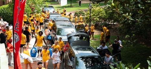 a group of students moving in in a line of cars