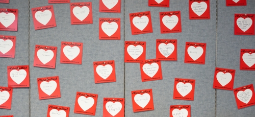 A grey fabric bulletin board is covered in small red squares featuring white hearts and handwritten messages under the hashtag CatsAreKind.