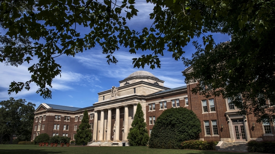 Tree cowers over Chambers building