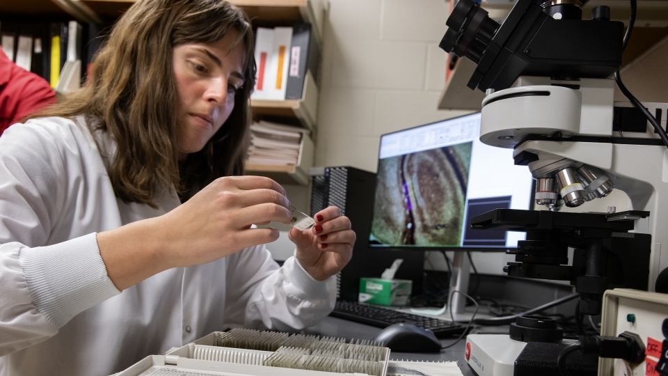 Neuroscience Student in Lab
