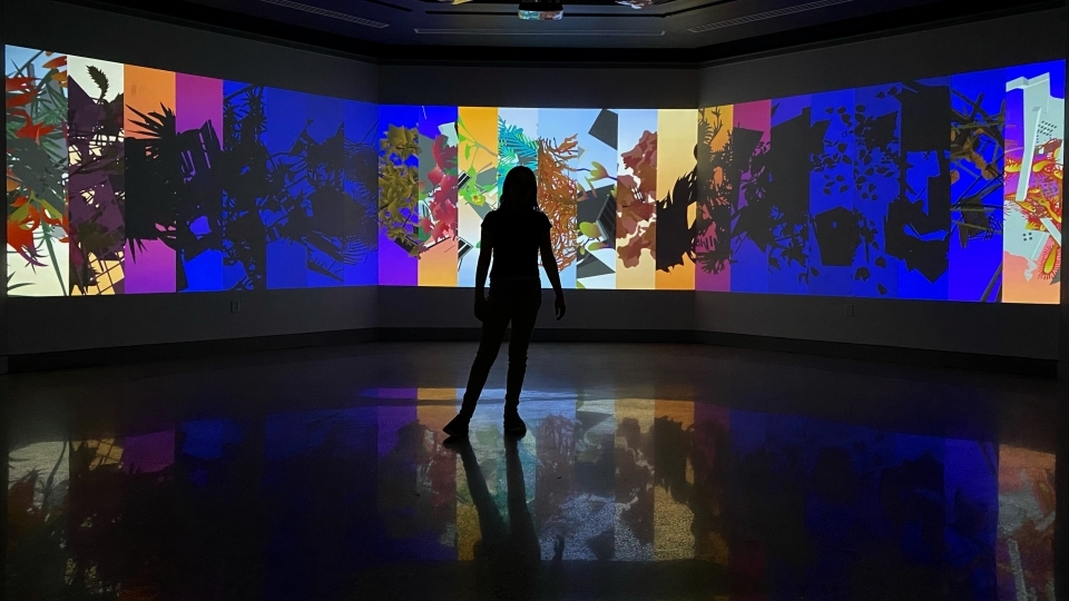 a silhouette stands in front of an art exhibit of colorful images and plants