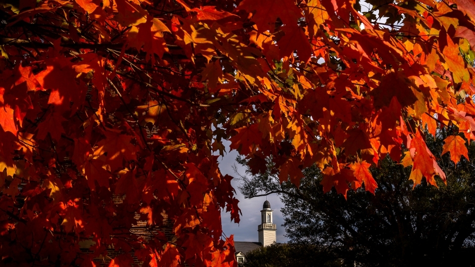 Campus Beauty Fall Leaves with chapel in the