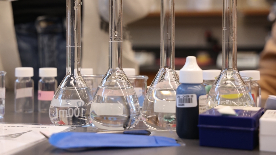 a table covered with glass beakers in a lab