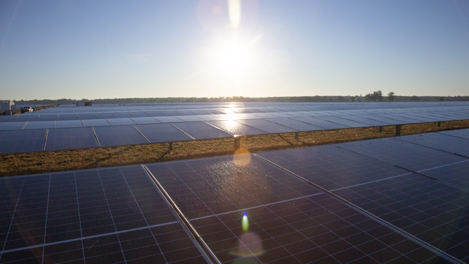 a field of solar panels on a sunny day