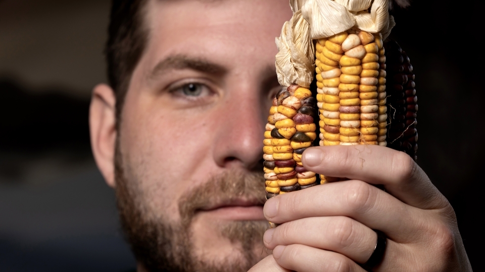 a young man holds up Catawba indigenous corn