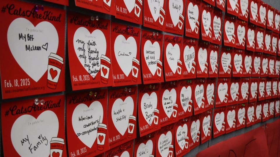 a wall of cards with hearts