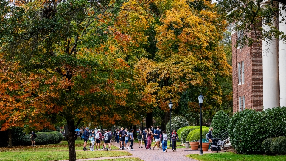 a group of students walk on a college campus in front of a yellow and orange tree