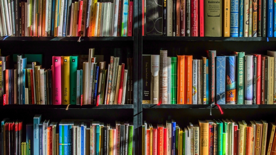 colorful books on a shelf