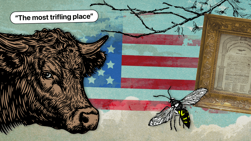 A vintage collage of a cow, negative review ("the most trifling place"), hornet, historic document and american flag