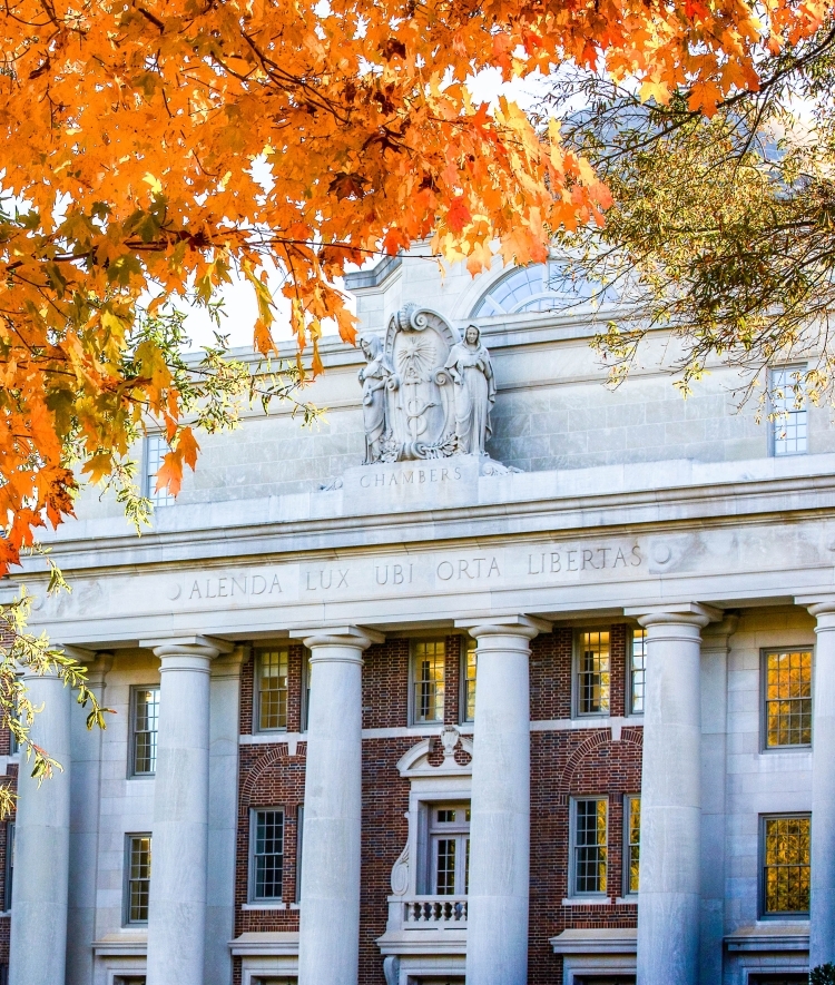 Chambers through orange leaves