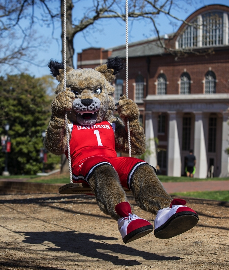 Mascot Lux on Swinging on Outdoor Swing